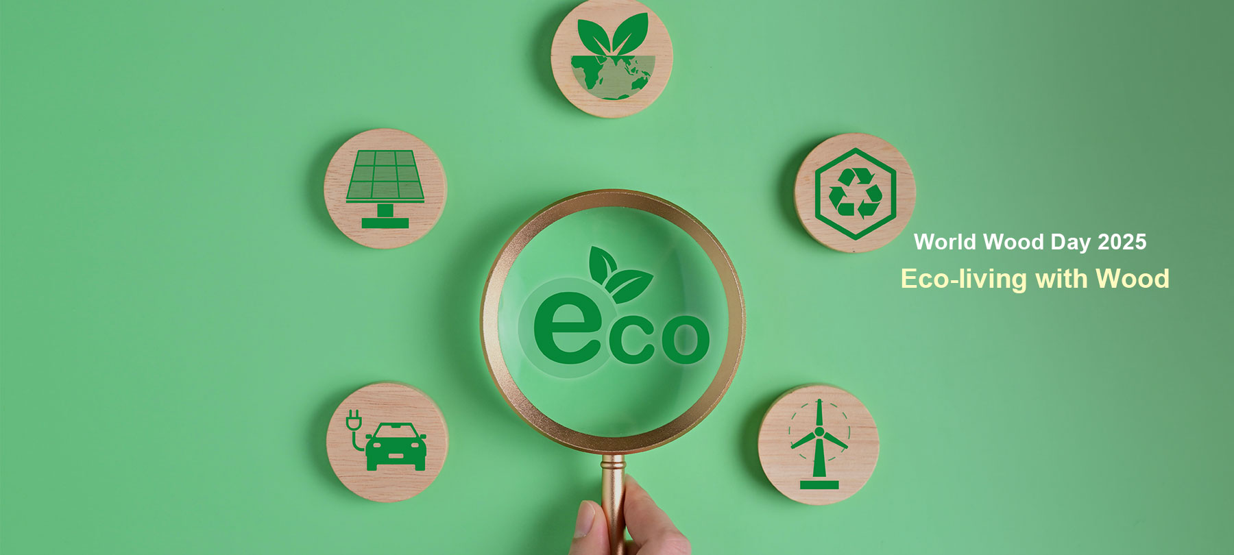 2025 World Wood Day